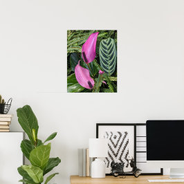 Rosa Anthurium-blommor och lövrik bladverk Poster