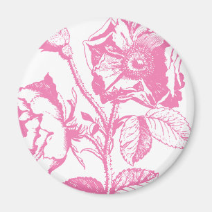 Rosa Antique Ro Magnet