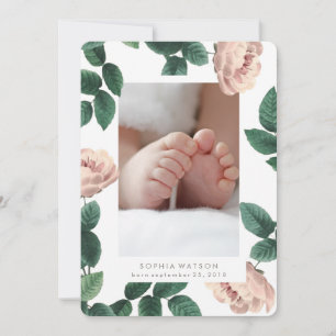 Rosa Antique Ro Photo Card Birth Notice Meddelande
