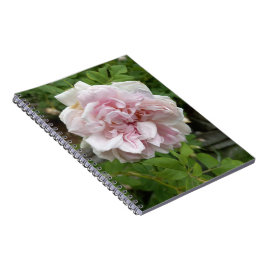 Rosa Antique Ro Spiral bärbar dator Anteckningsbok