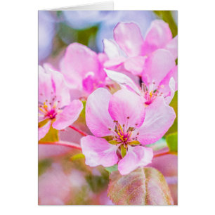 Rosa Apple-Blommar Hälsningskort