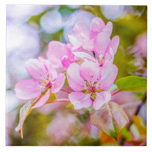 Rosa Apple-Blommar Kakelplatta