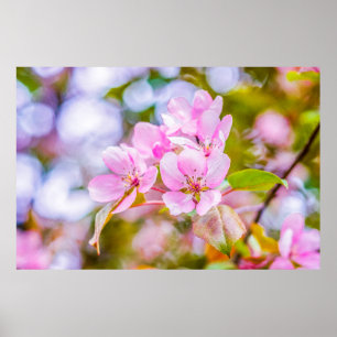 Rosa Apple-Blommar Poster