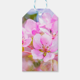 Rosa Apple-Blommar Presentetikett