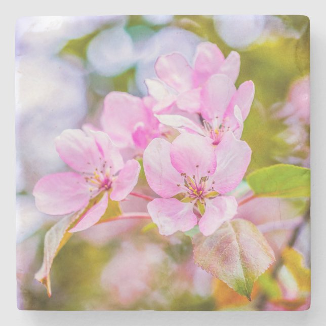 Rosa Apple-Blommar Stenunderlägg (Framsidan)