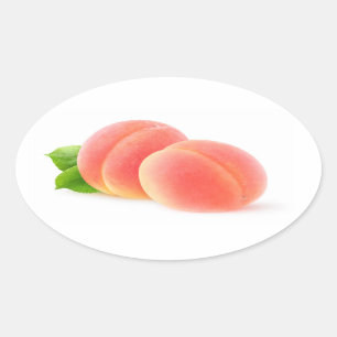 Rosa aprikoser ovalt klistermärke