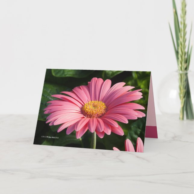 Rosa är till för Kärlek Kort (Framsida)