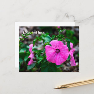 Rosa årligt rågkort helg vykort