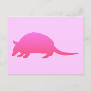 Rosa Armadillo Vykort