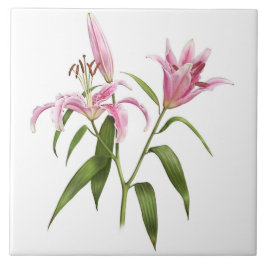 Rosa Asiatic Stargazer Lily Botanical Art Kakelplatta