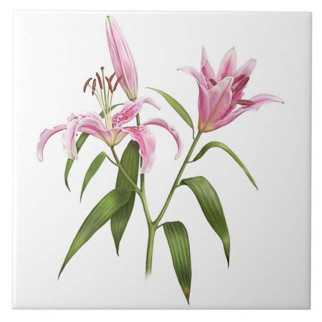 Rosa Asiatic Stargazer Lily Botanical Art Kakelplatta (Framsidan)