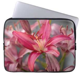 Rosa Asiatisk Lily, Vibrant Flower Photo Laptop Fodral