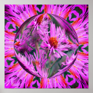 Rosa Aster Flower Energies Abstrakt Art Poster