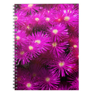 Rosa Aster Flowers Anteckningsbok Med Spiral