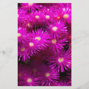 Rosa Aster Flowers Scrapbook Papper