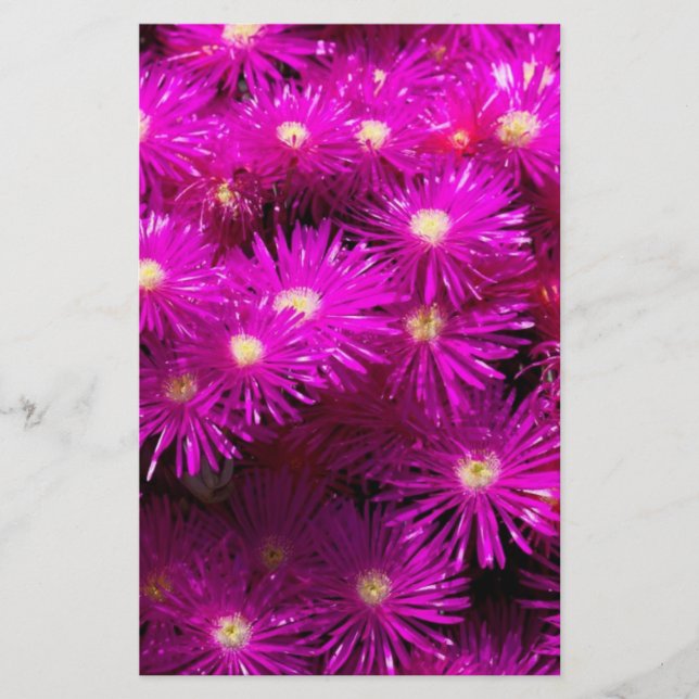 Rosa Aster Flowers Scrapbook Papper (Framsida)