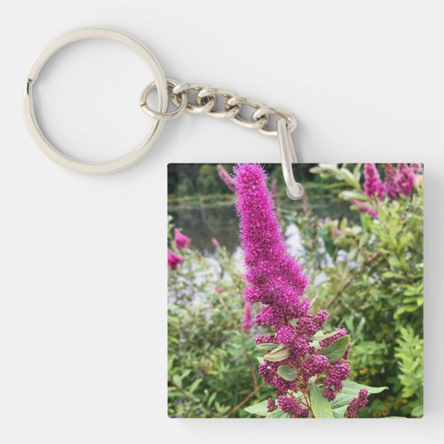 Rosa Astilbe Flowers by a Pond (Framsidan)