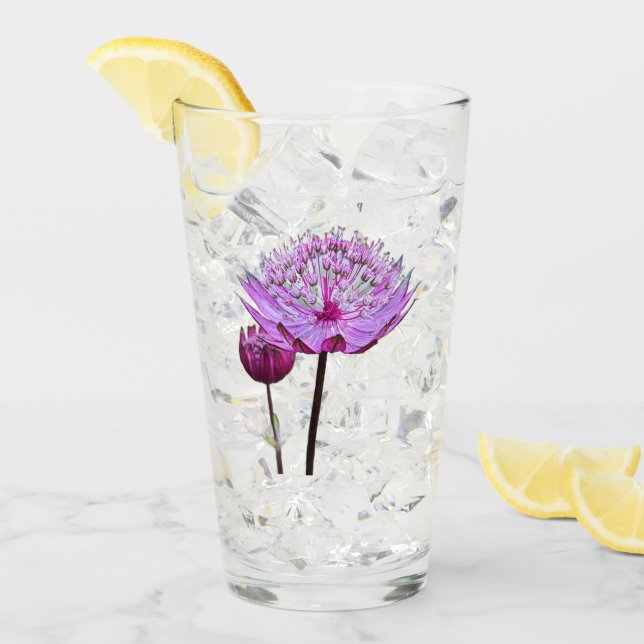 Rosa Astrantia Flower Blommigt Glaskopp (Framsida Ice)