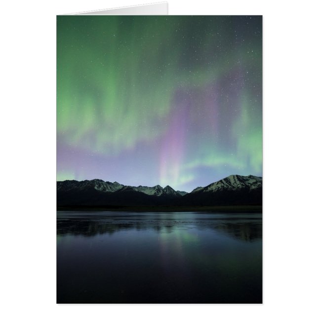 Rosa Aurora Hälsningskort (Framsidan)