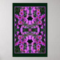 Rosa Autumn Aster Flowers Orton Abstrakt