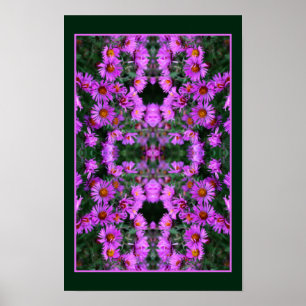 Rosa Autumn Aster Flowers Orton Abstrakt Poster