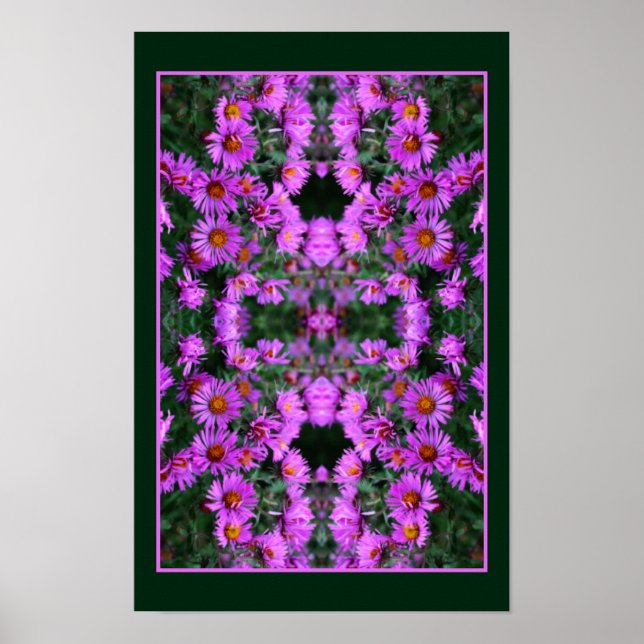 Rosa Autumn Aster Flowers Orton Abstrakt Poster (Framsidan)