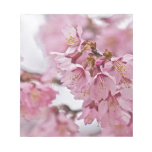 Rosa av Bleken för Blommar av Sakura Cherry Anteckningsblock