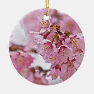 Rosa av Bleken för Blommar av Sakura Cherry Julgransprydnad Keramik