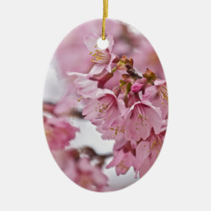 Rosa av Bleken för Blommar av Sakura Cherry  Julgransprydnad Keramik