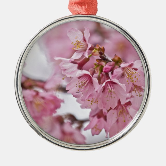 Rosa av Bleken för Blommar av Sakura Cherry  Julgransprydnad Metall (Framsidan)