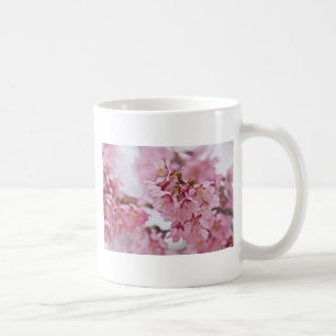 Rosa av Bleken för Blommar av Sakura Cherry Kaffemugg