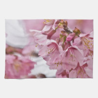 Rosa av Bleken för Blommar av Sakura Cherry 