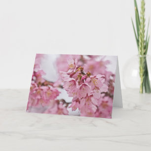 Rosa av Bleken för Blommar av Sakura Cherry Kort