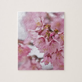 Rosa av Bleken för Blommar av Sakura Cherry Pussel