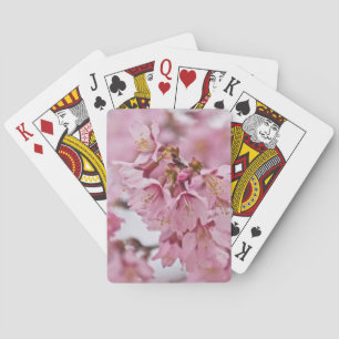 Rosa av Bleken för Blommar av Sakura Cherry Spel Kort