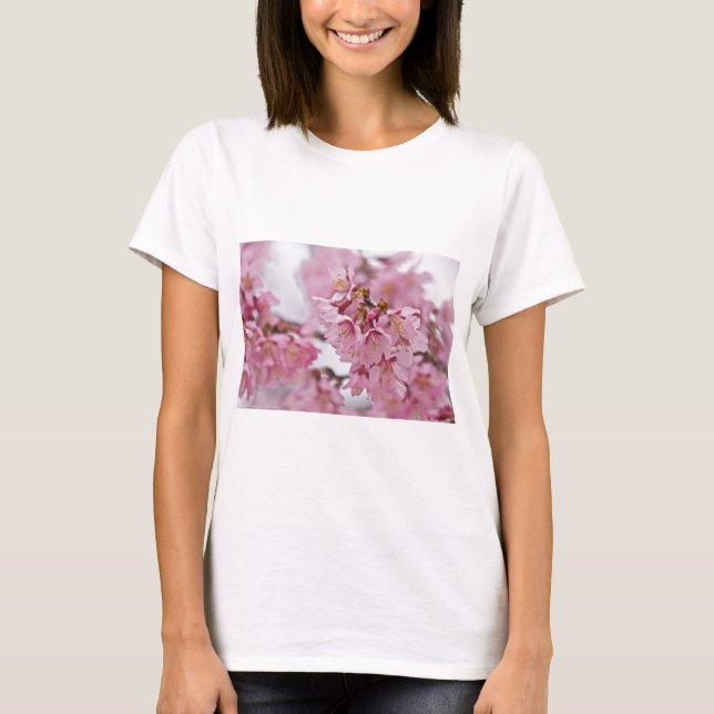 Rosa av Bleken för Blommar av Sakura Cherry  T Shirt (Framsida)