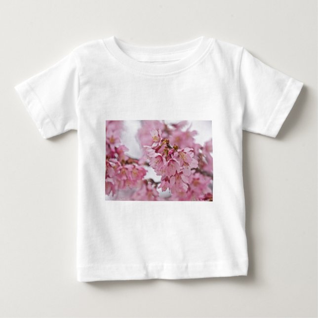 Rosa av Bleken för Blommar av Sakura Cherry  Tee Shirt (Framsida)
