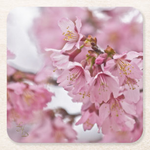 Rosa av Bleken för Blommar av Sakura Cherry Underlägg Papper Kvadrat