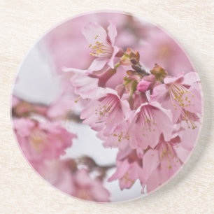 Rosa av Bleken för Blommar av Sakura Cherry Underlägg Sandsten