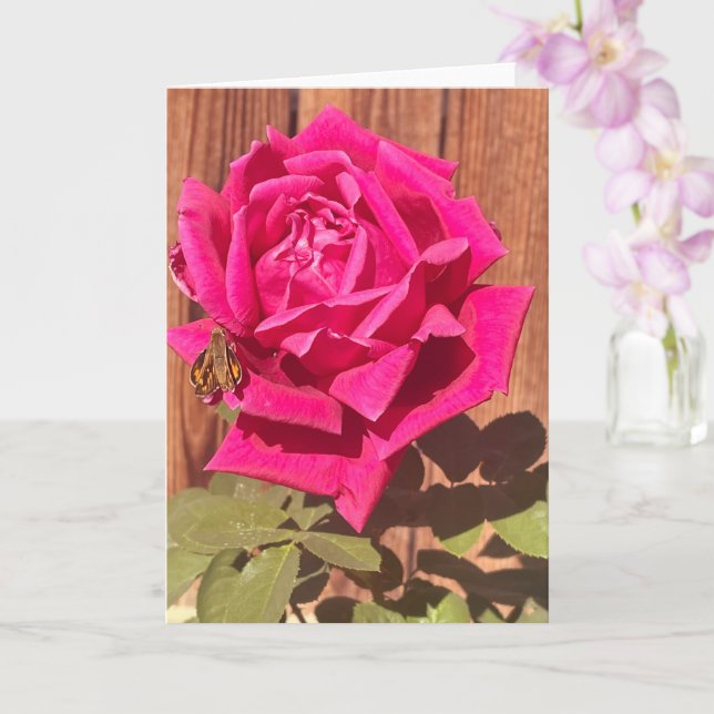 Rosa av färgad Rosa av Elegant Blommigt Flower Kort (Orkide)