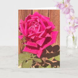 Rosa av färgad Rosa av Elegant Blommigt Flower Kort