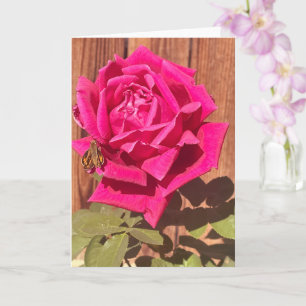 Rosa av färgad Rosa av Elegant Blommigt Flower Kort