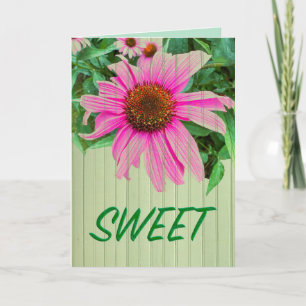 ROSA av lila av SWEET-daisy i trädgårdsfotnoter Kort