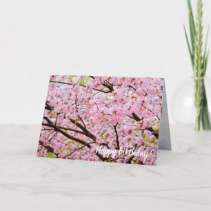 Rosa av skum från Blommar av körsbär över Sakura-T Kort