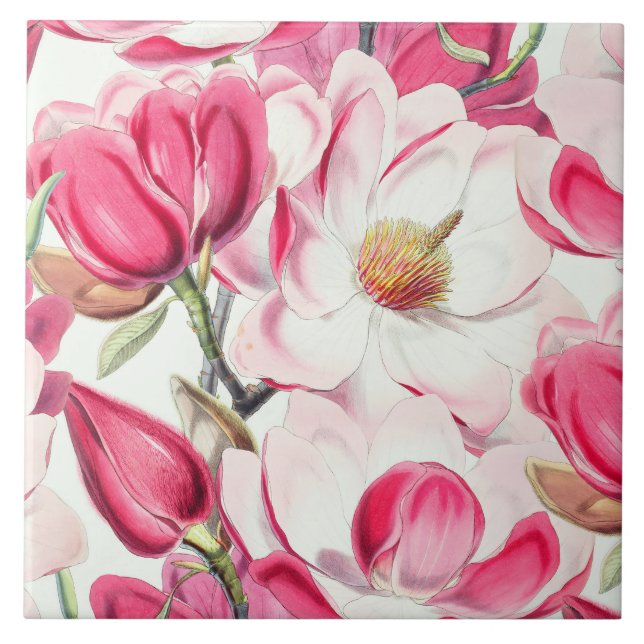 Rosa av vattenfärg Magnolia Flowers Mönster Kakelplatta (Framsidan)