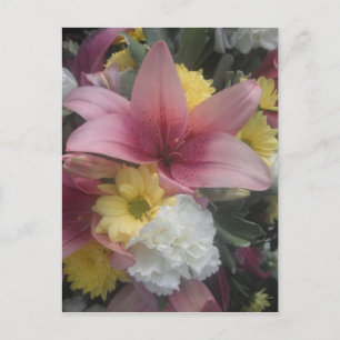 Rosa av vykort Lily Beauty