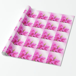 Rosa azalea-blommor helgdag, födelsedag, jul, presentpapper