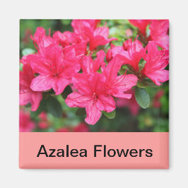 rosa azalea-blommor magnet