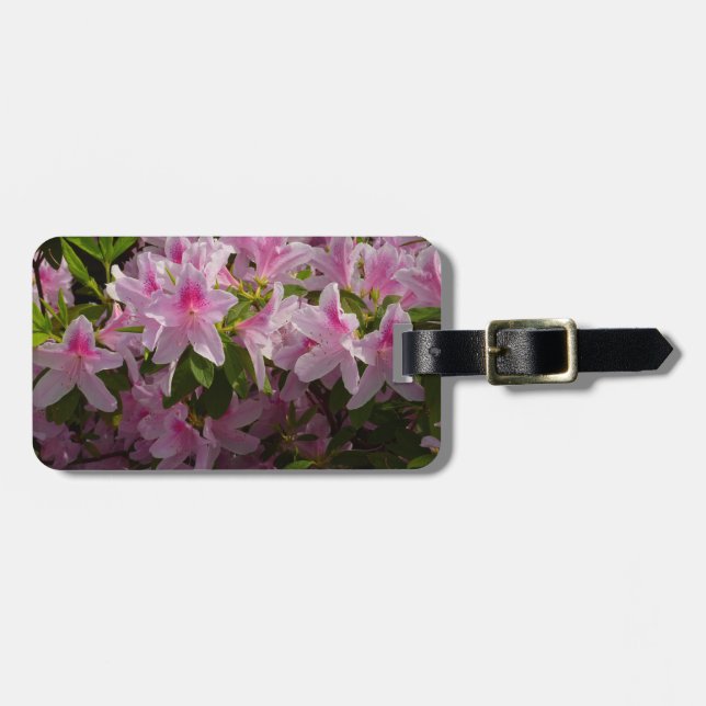 Rosa Azalea Bush Vår Blommigt  Bagagebricka (Horisontell Framsida)