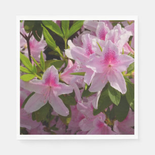 Rosa Azalea Bush Vår Blommigt Pappersservett